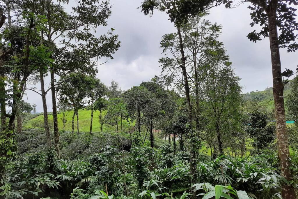 Farmstay In ചില്ലുകൂടാരം At Les Domki Et Al. Vagamon Exterior photo