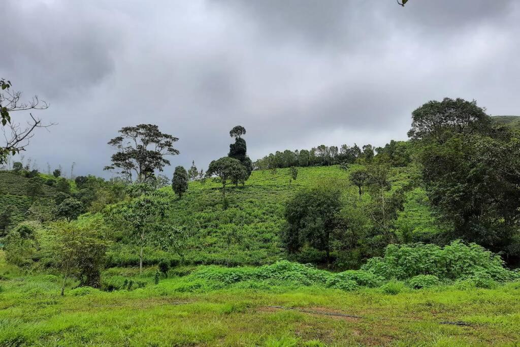 Farmstay In ചില്ലുകൂടാരം At Les Domki Et Al. Vagamon Exterior photo